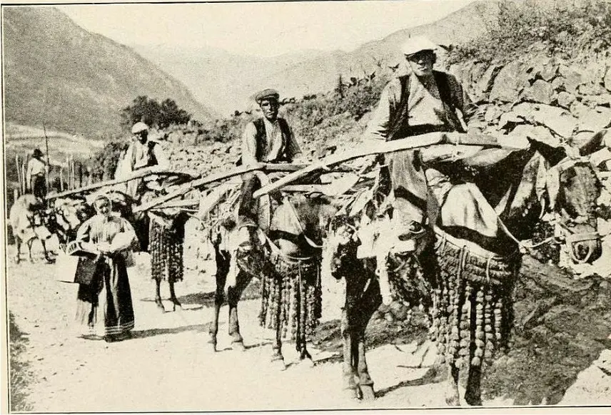 Travels in the Pyrenees 